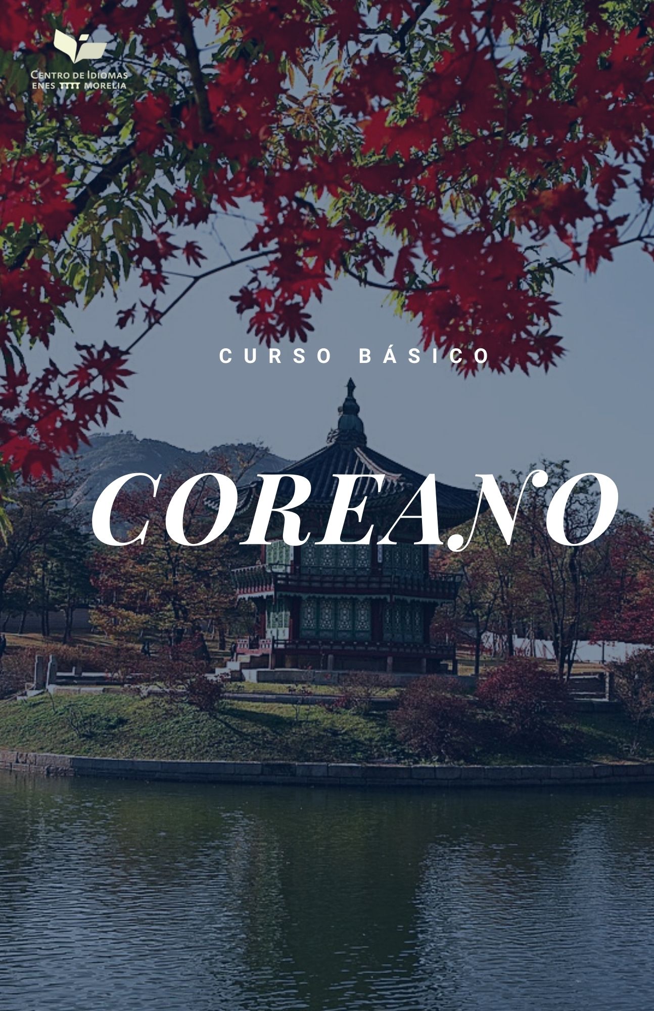 COREANO BÁSICO I (NUEVO INGRESO)